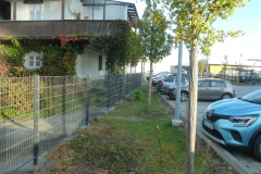 P1070508