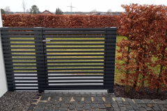 IMG_20210305_141236_582