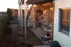 IMG_20211221_155203_961